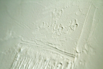 壁を塗り替える際つくった猫の「爪とぎスペース」。こんな遊びもカスタマイズならでは